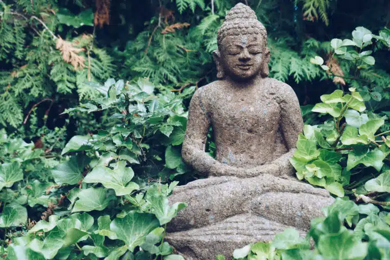 Buddha In Nature